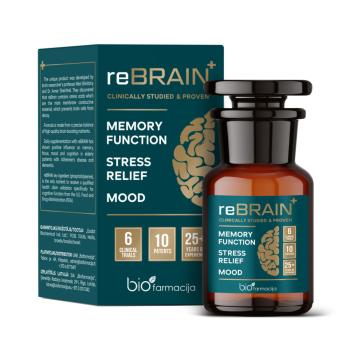 rebrain.jpg